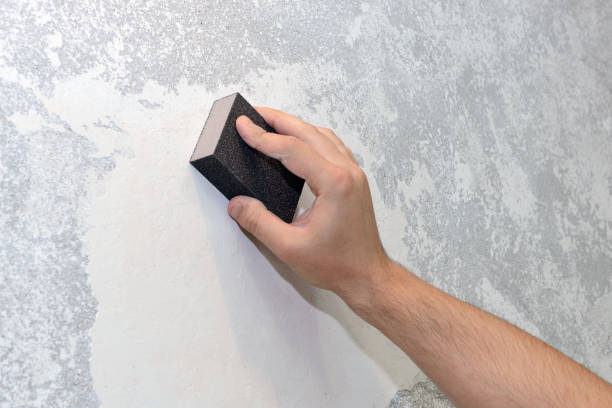 Best Residential Mold Inspection & Testing  in Claxton, GA