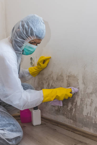 Best Post-Remediation Verification Testing  in Claxton, GA