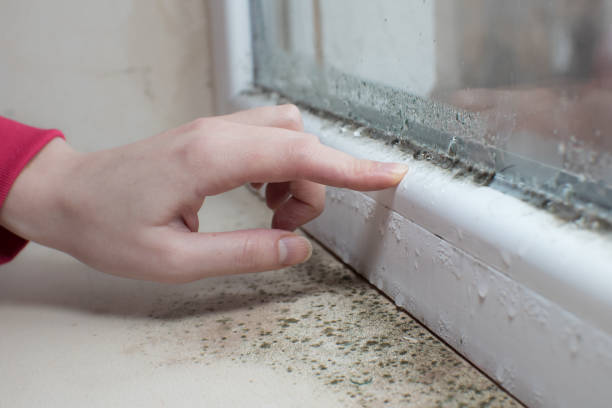 Best Asbestos and Lead Testing During Mold Inspection  in Claxton, GA
