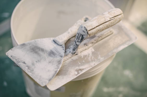 Best Mold Odor Removal Services  in Claxton, GA